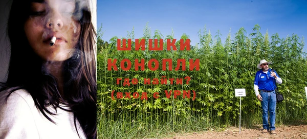 сатива Абдулино