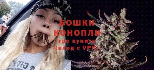сатива Абдулино